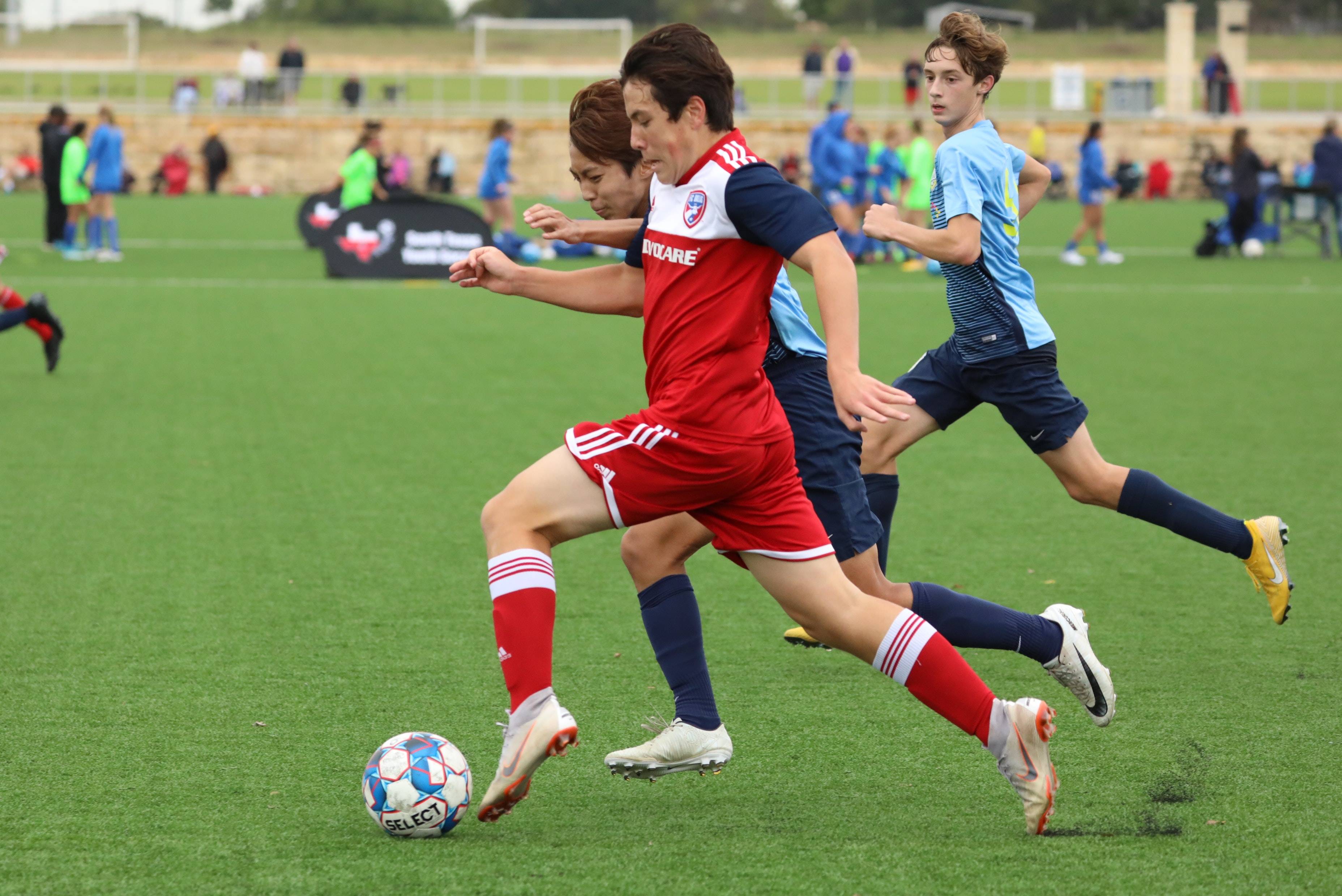 和谐共处 和谐共处