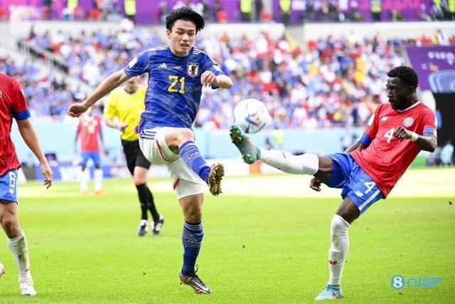 选球质量 选球质量